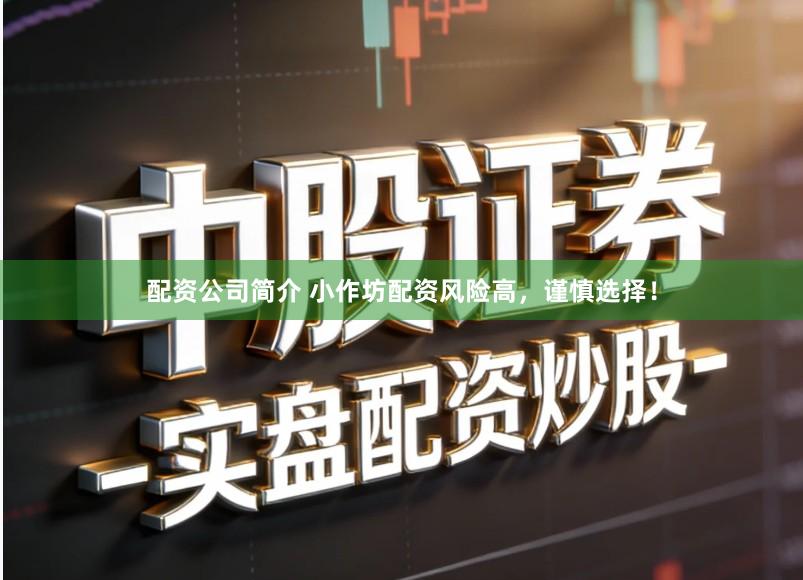 配资公司简介 小作坊配资风险高，谨慎选择！