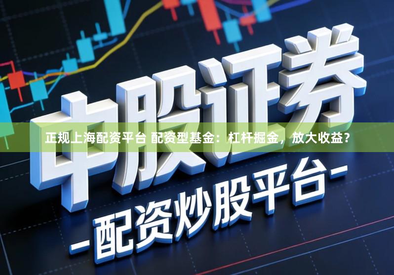 正规上海配资平台 配资型基金：杠杆掘金，放大收益？