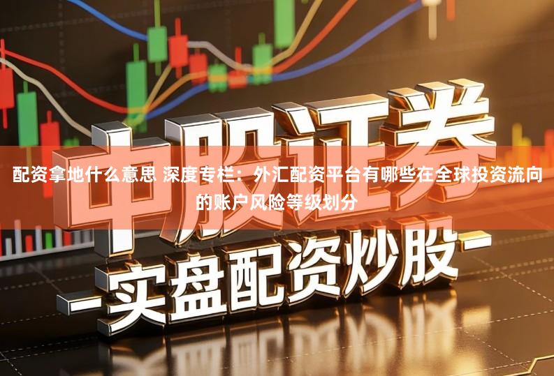 配资拿地什么意思 深度专栏：外汇配资平台有哪些在全球投资流向的账户风险等级划分