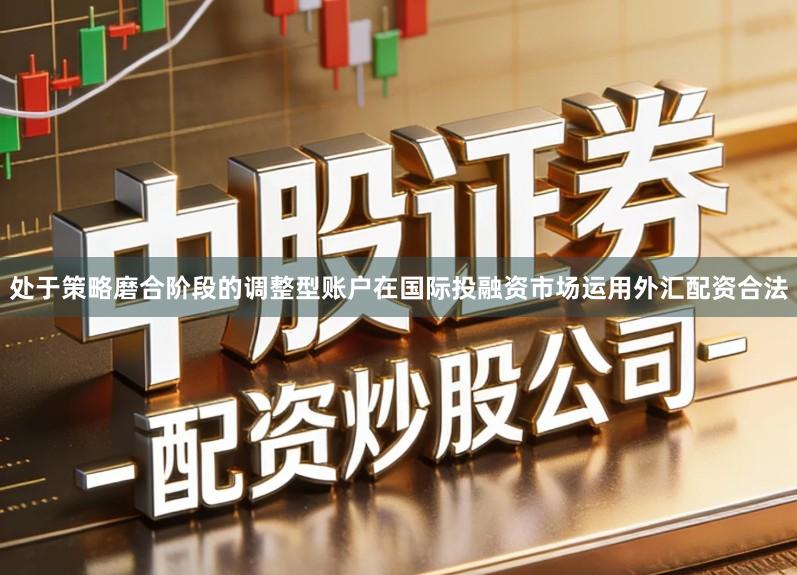 处于策略磨合阶段的调整型账户在国际投融资市场运用外汇配资合法