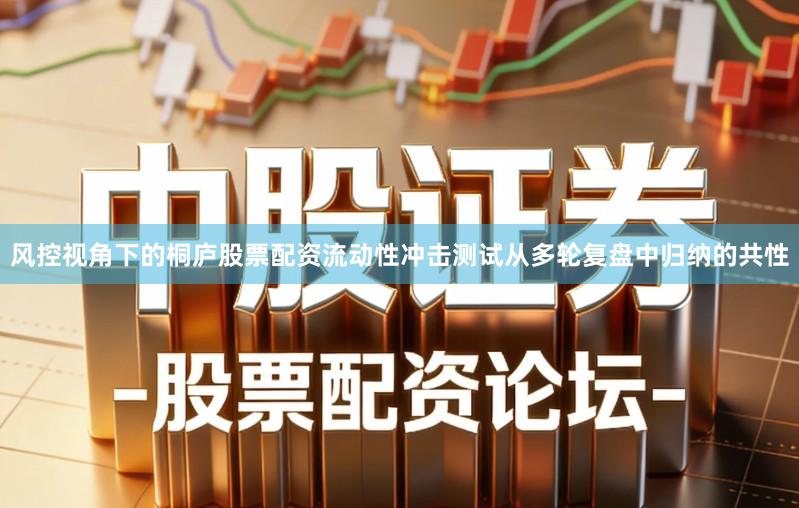 风控视角下的桐庐股票配资流动性冲击测试从多轮复盘中归纳的共性