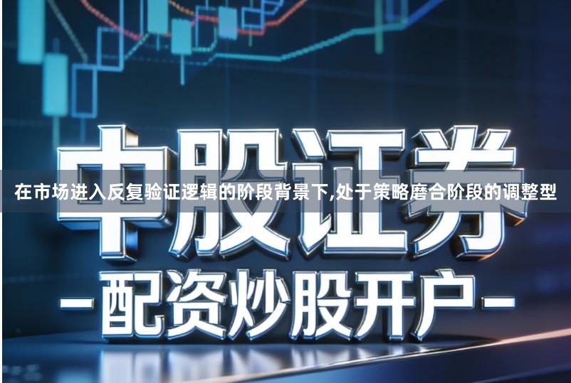 在市场进入反复验证逻辑的阶段背景下,处于策略磨合阶段的调整型